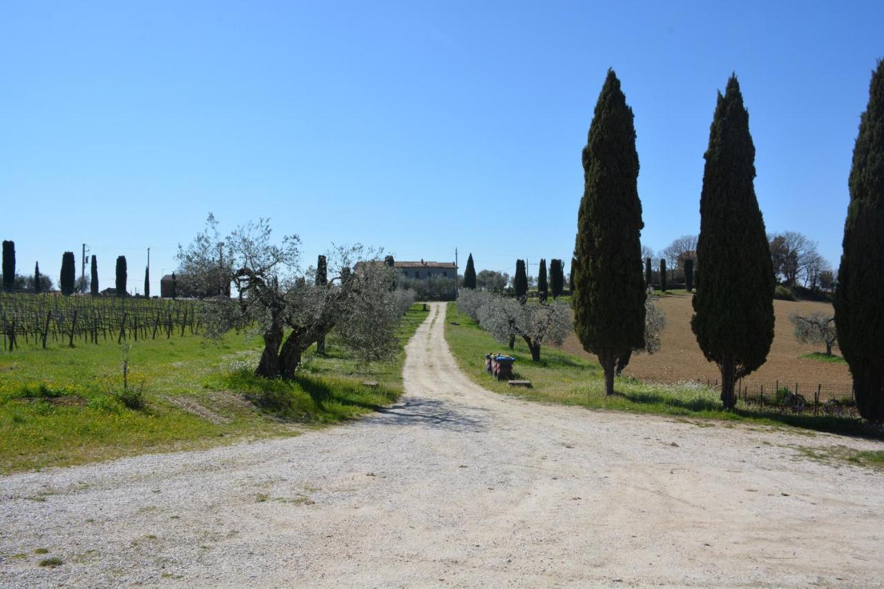 Scappo In Umbria, Casale Monti Villa Montoro  Eksteriør billede